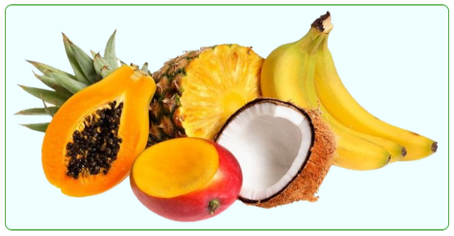 Fruits et légumes tropicaux KAMCO FARM