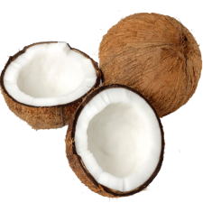 Noix de Coco